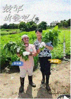 综艺预告片 歌手2026